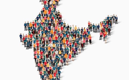 Public Administration - Paper 02 - Chapter 06